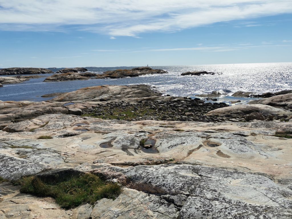 Utflykt till Tjurpannans Naturreservat