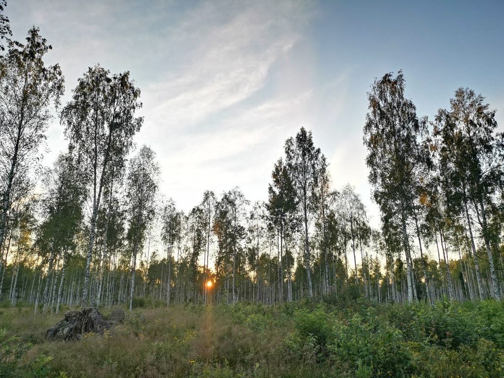 Dömle Herrgård omgivningar