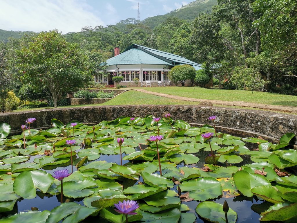 Hotell i Kandy med pool - Mountbatten Bungalow