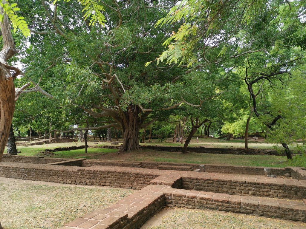 Besöka Polonnaruwa