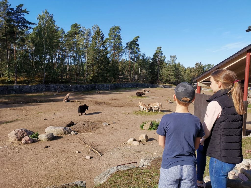 Weekend på Kolmården i Djurparken