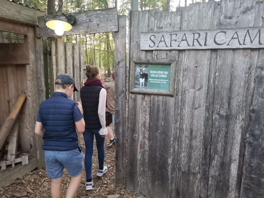 Safari Camp på Kolmården