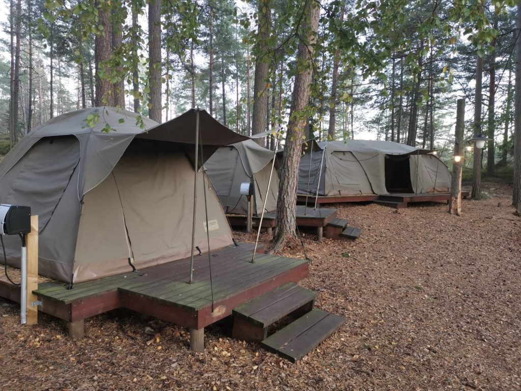 Safari Camp på Kolmården