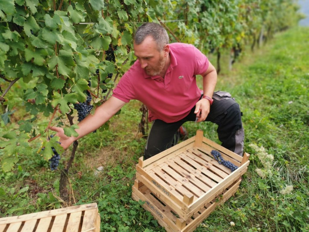 Nino Negri i Valtinella