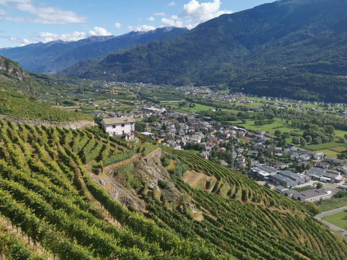 Vinresa till Italien