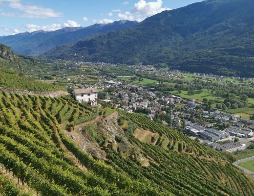 Vinresa till Italien