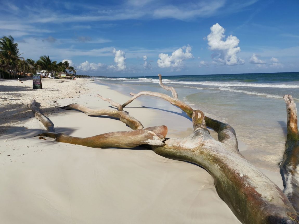 Höstlov i Tulum