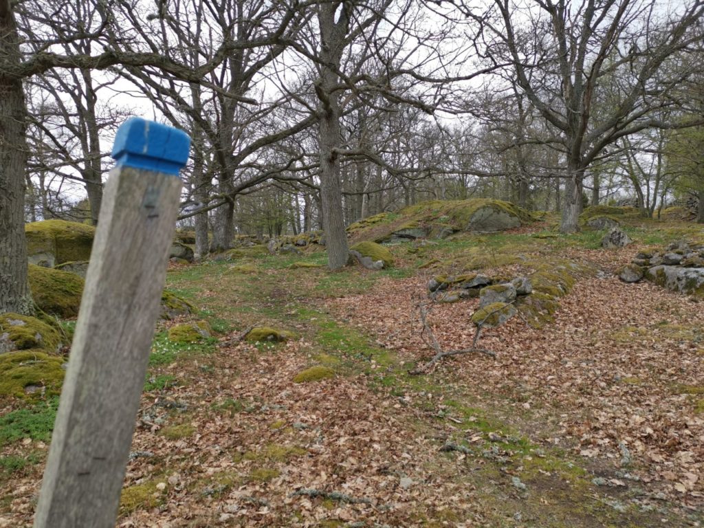 Tjärö - one of Blekinge's most beautiful islands