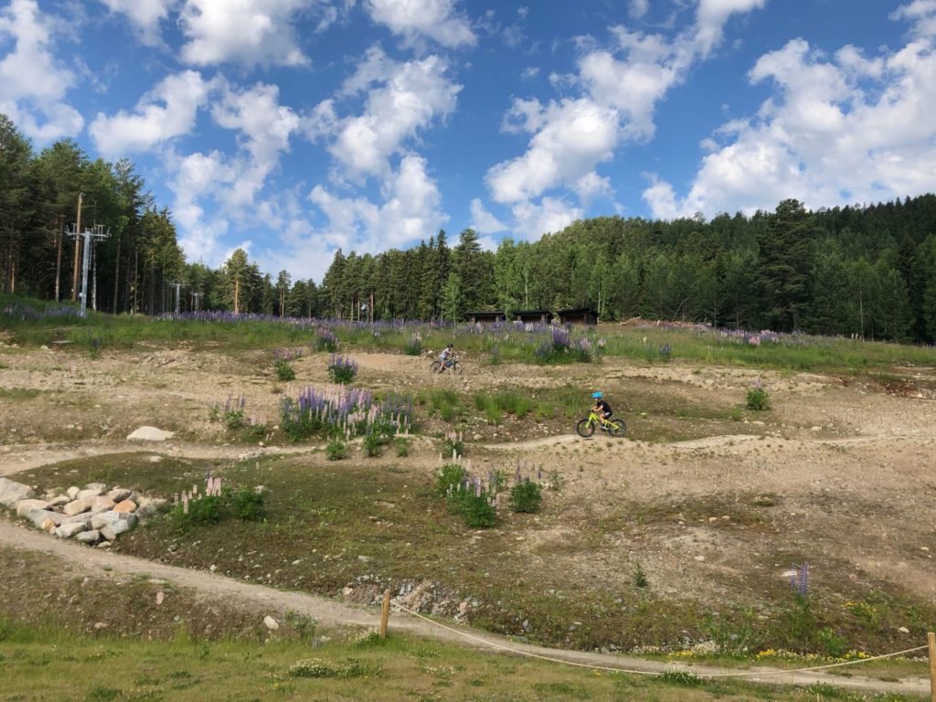 liten downhillbana utanför hotellet