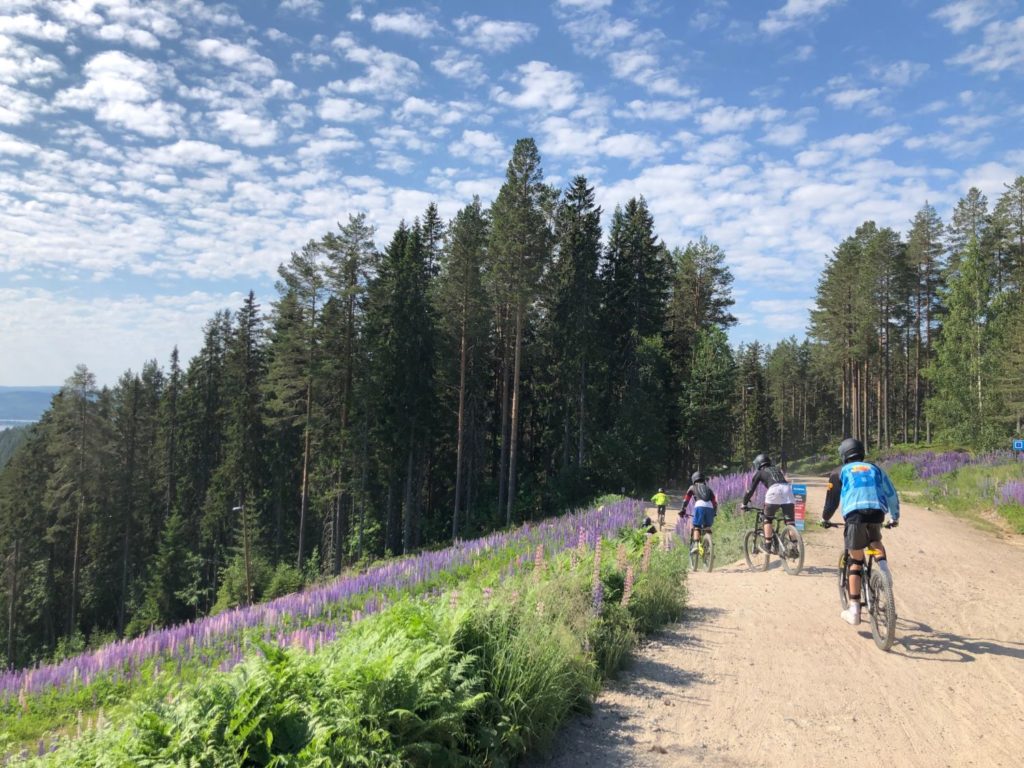 Downhill i Järvsö Bergscykel Park