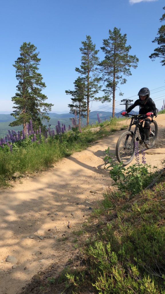 Downhill i Järvsö Bergscykel Park