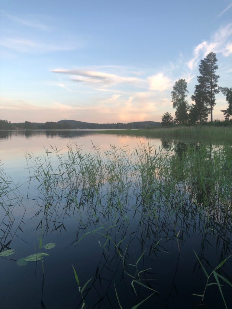 Sommarsemester i Sverige