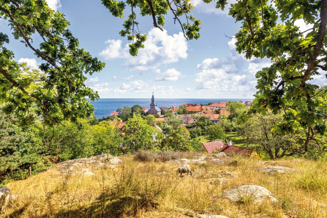 Viking Lines sommarkryssningar 2021