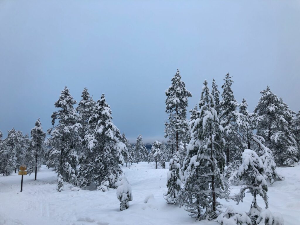 Gyllbergen utanför Borlänge