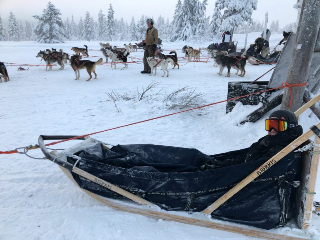 Hundspann i Sälen med Fjälläventyr