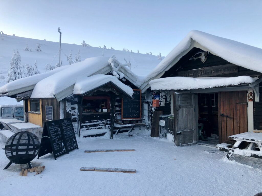 Hundspann i Sälen med Fjälläventyr