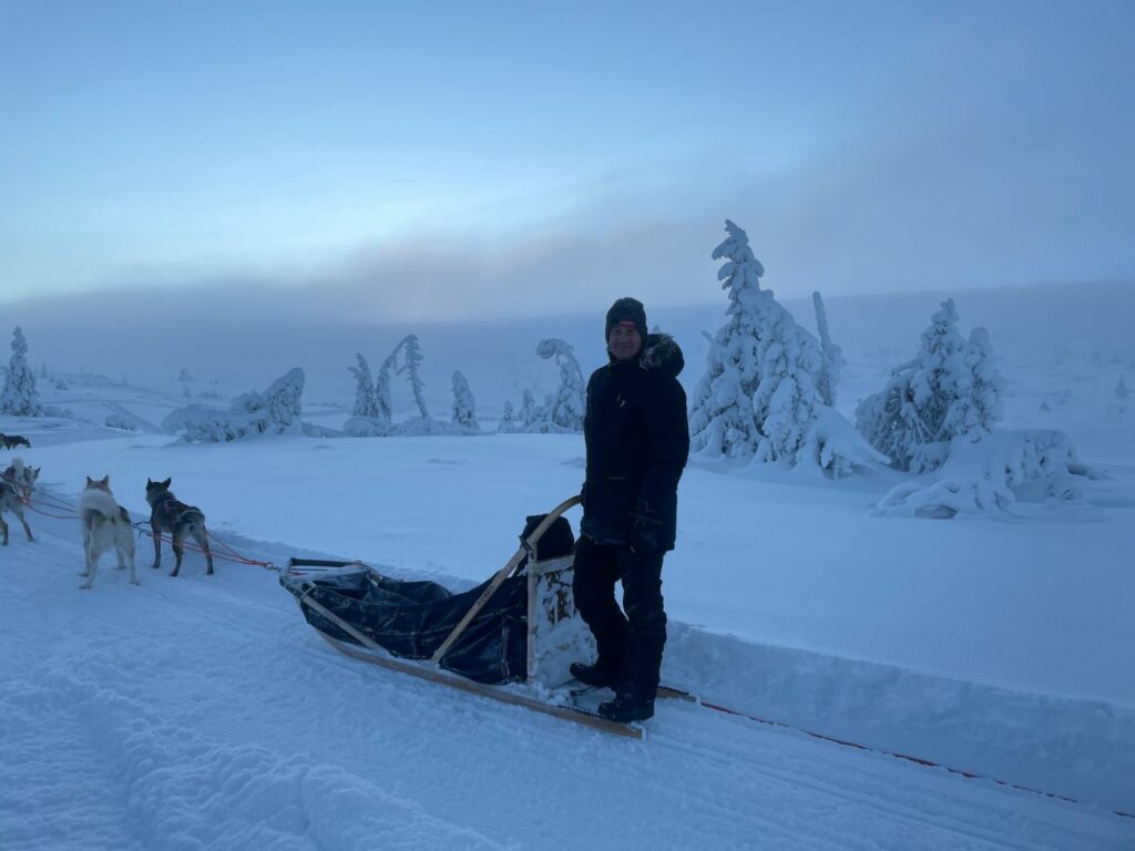 Hundspann i Sälen med Fjälläventyr