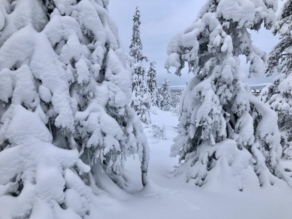 Skidåkning i Sälen - Högfjället