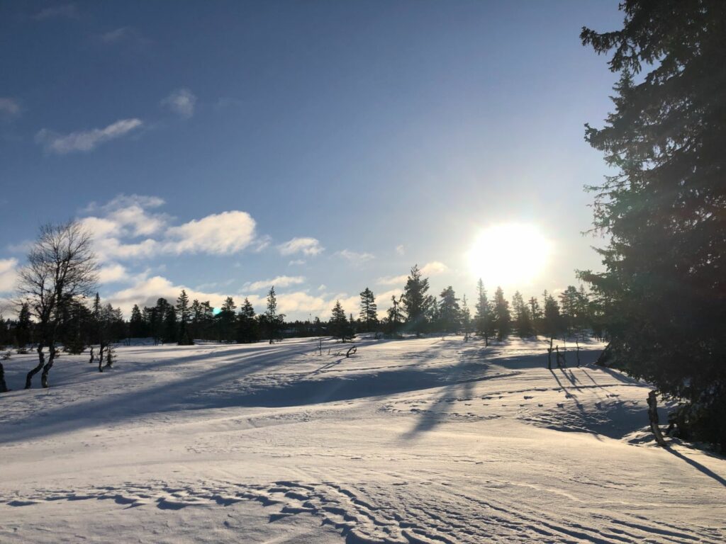 Längdåkning i Sälen