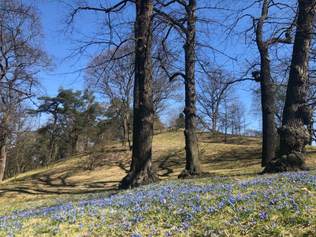 Brunnsviken Runt