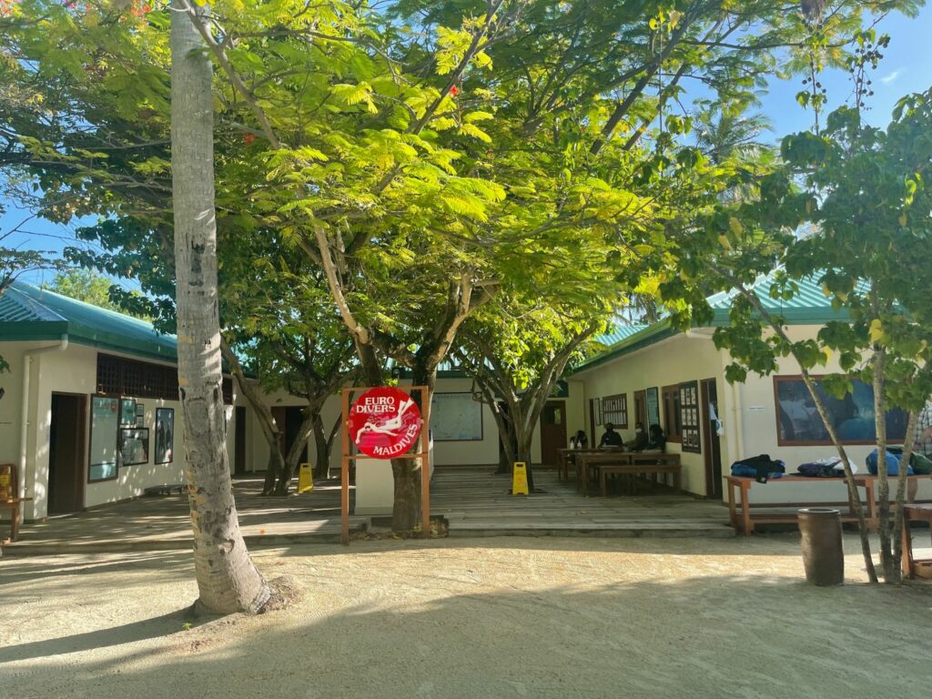 Diving Vilamendhoo island resort & spa i Maldiverna