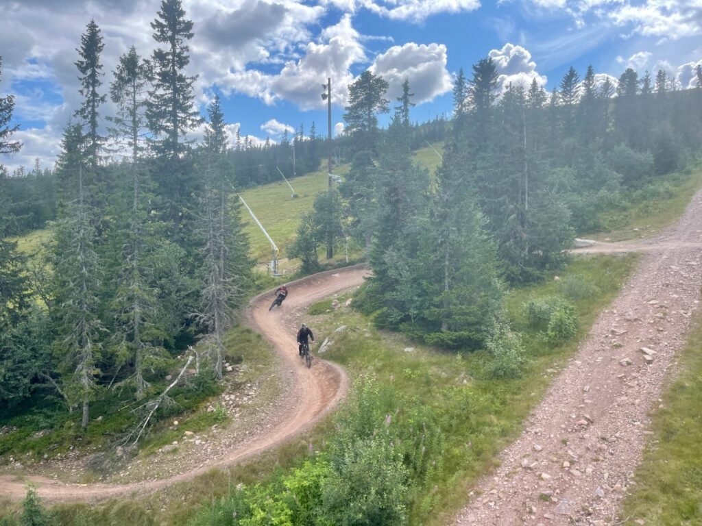 Downhill i Sälen