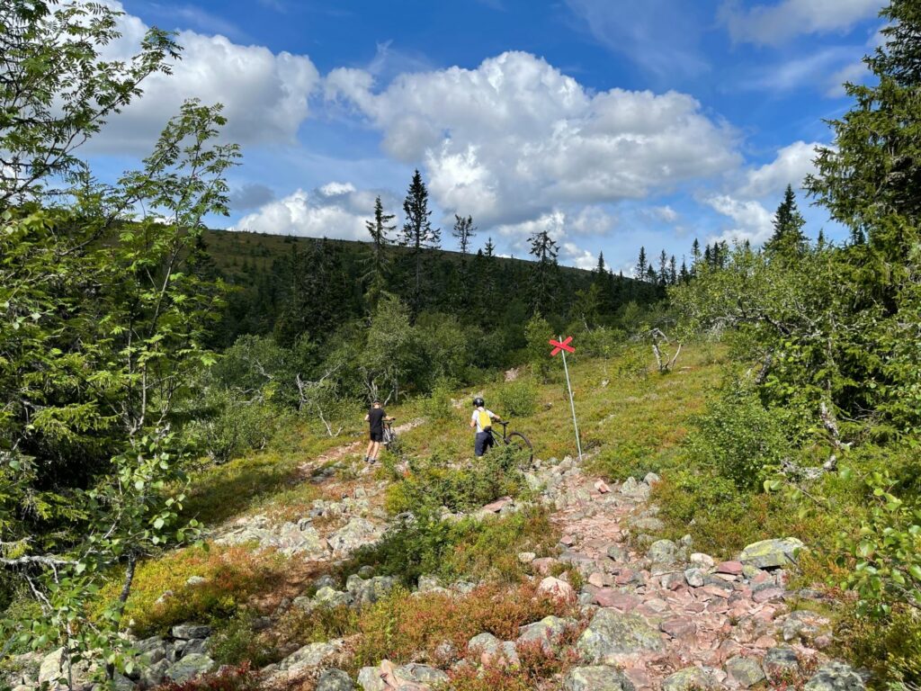 Cross country-cykling i Sälen