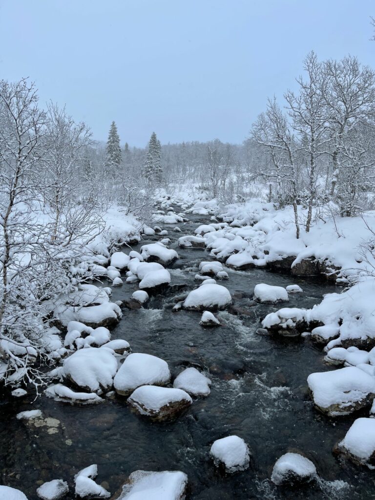 Vinterbad och vandring i Åre med Talisker Adventures