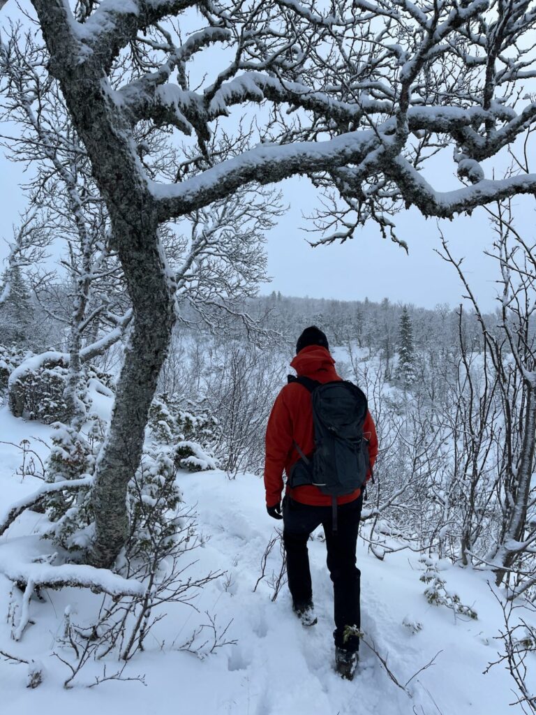 Vinterbad och vandring i Åre med Talisker Adventures
