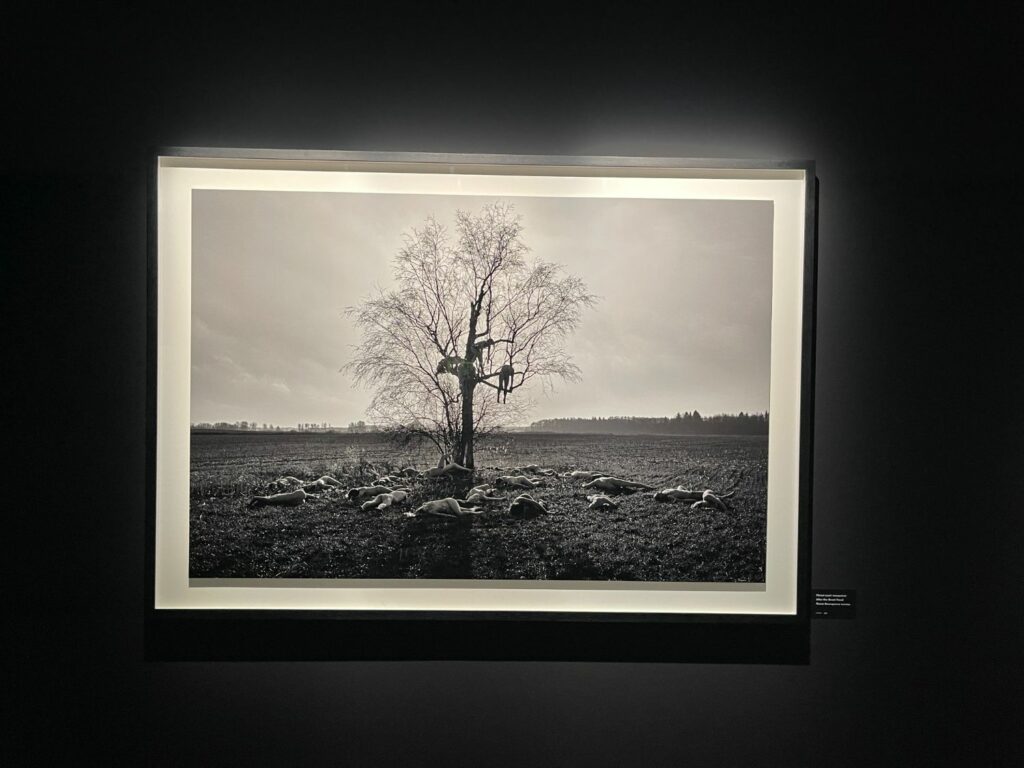 Utställningar på Fotografiska i Tallinn