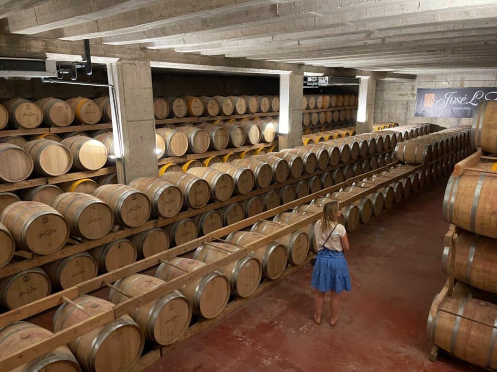 Vingård på Mallorca - besök på Bodegas Jose L. Ferrer