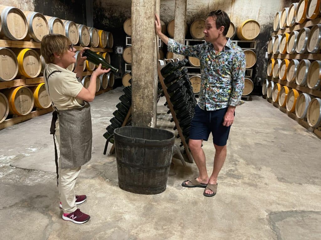 Vingård på Mallorca - besök på Bodegas Jose L. Ferrer