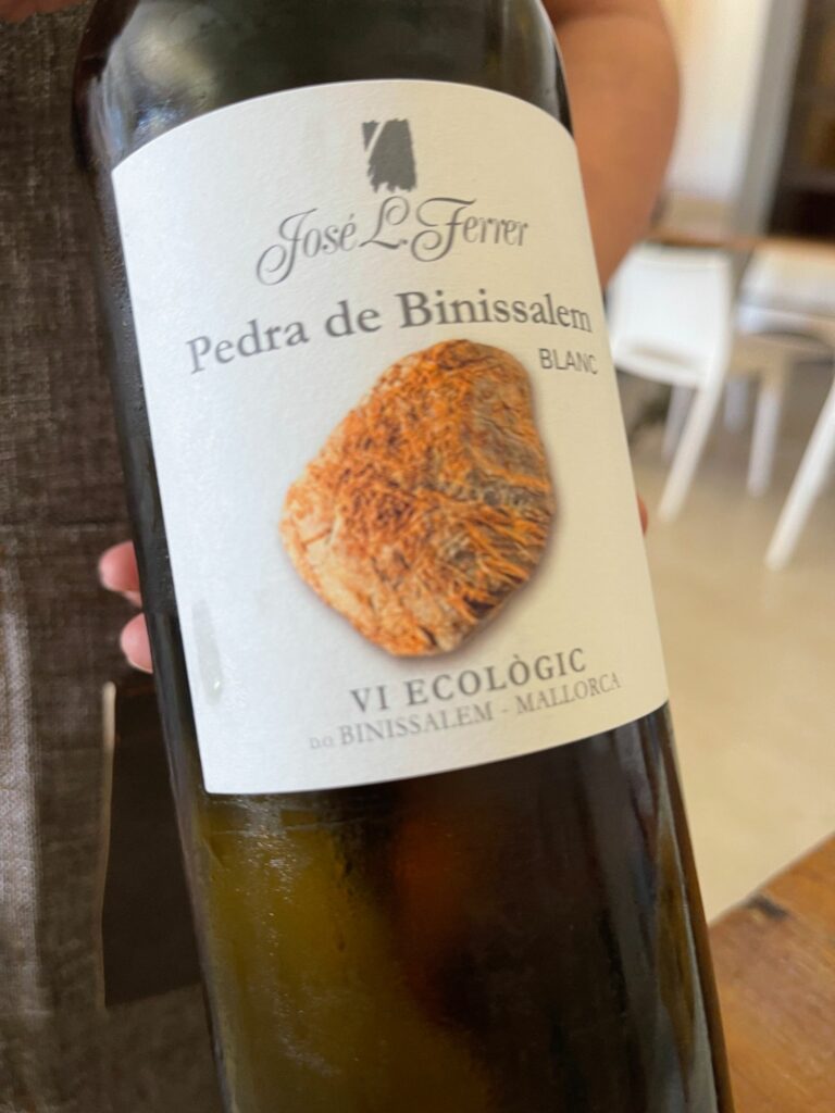 Vinprovning på Bodegas Jose L. Ferrer