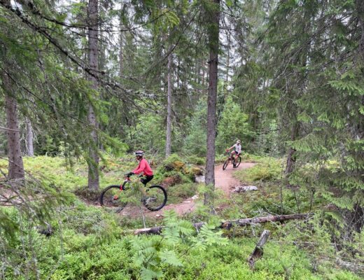 Nya cross-countryleder i Järvsö 2022