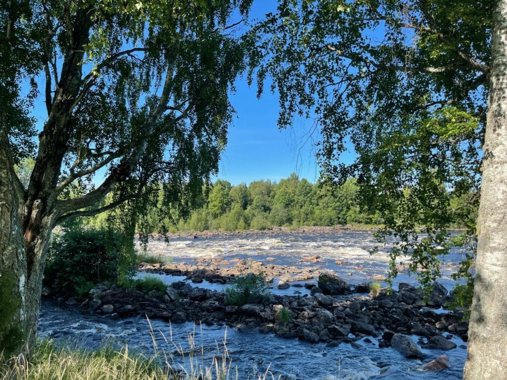 Forsränning i Edängeforsen med Upplev Järvsö