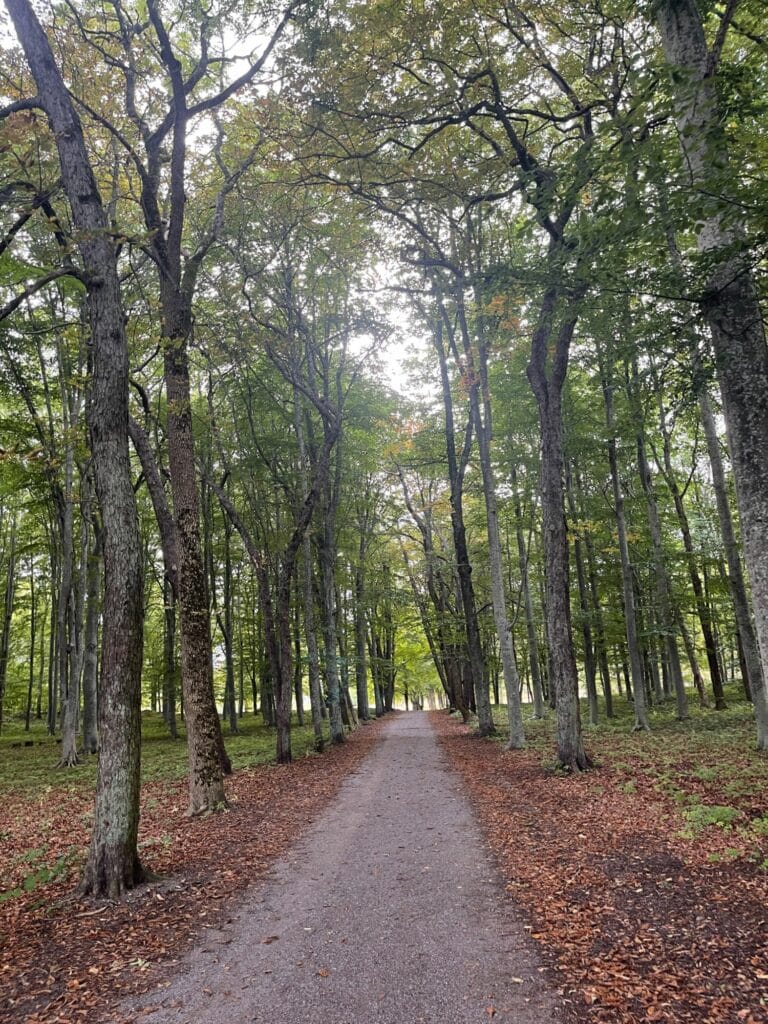 Naturen runt Roserborgs Slottshotell