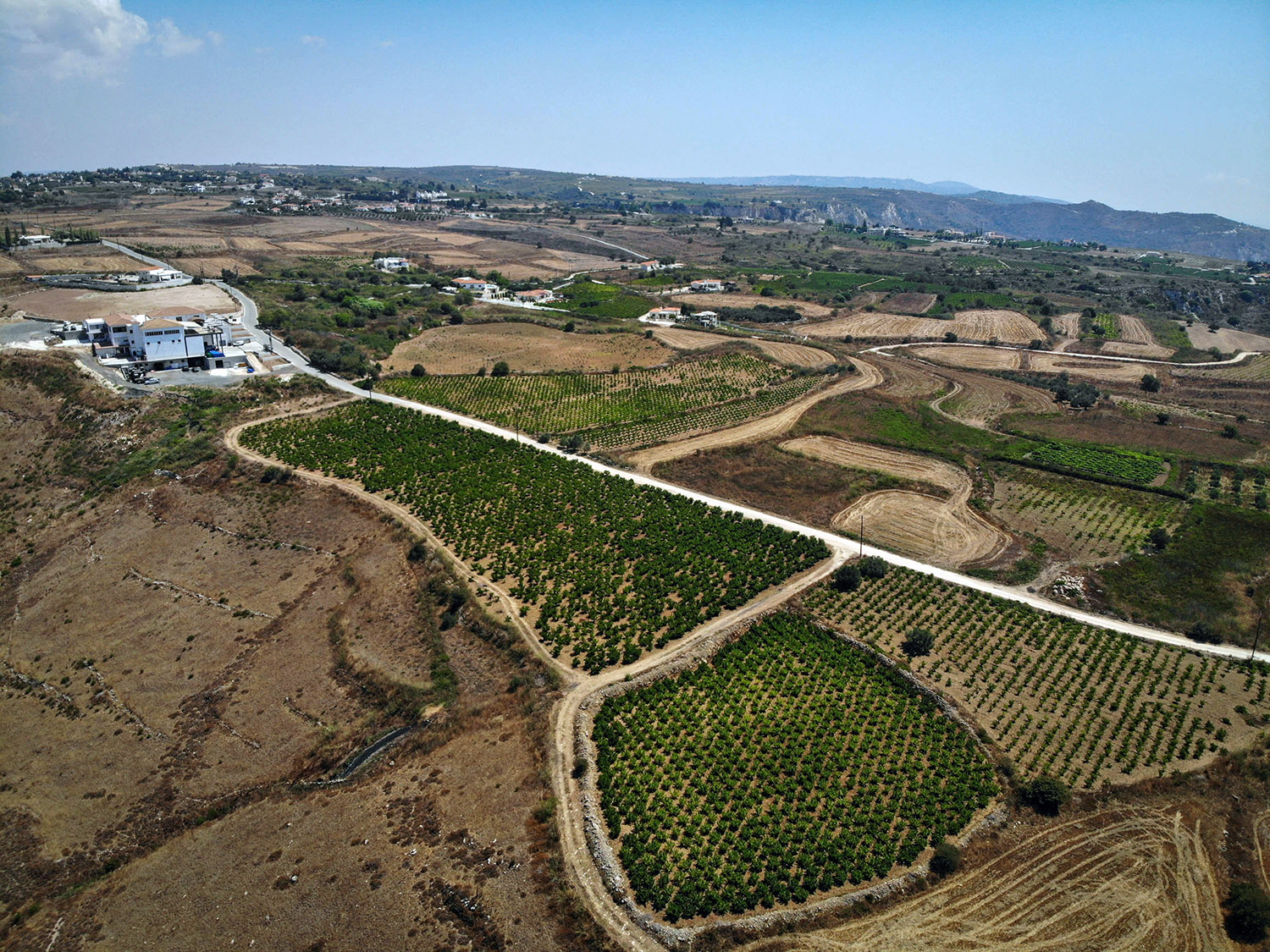 Besök på vingård på Cypern