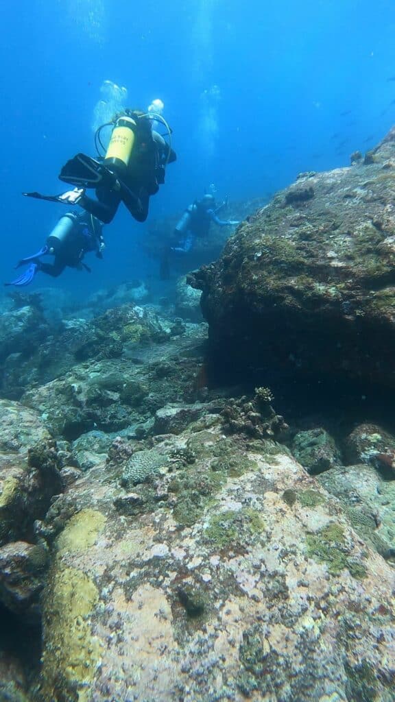 Dykning på Seychellerna