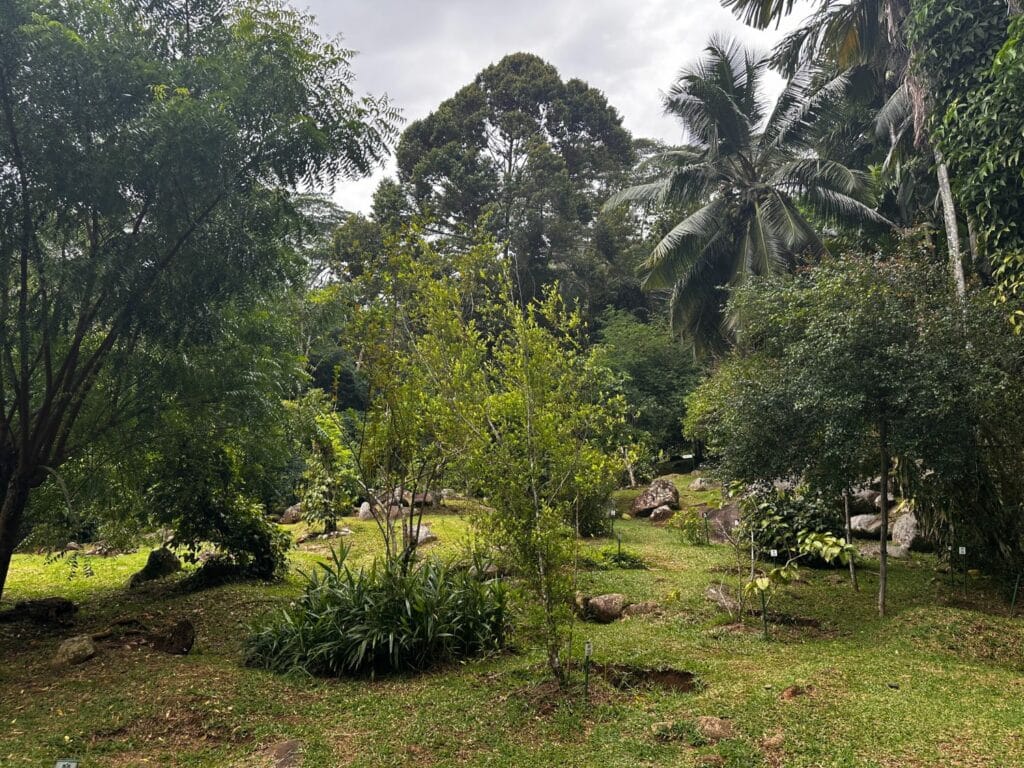 Jardin Du Roi Spice Garden på Seychellerna
