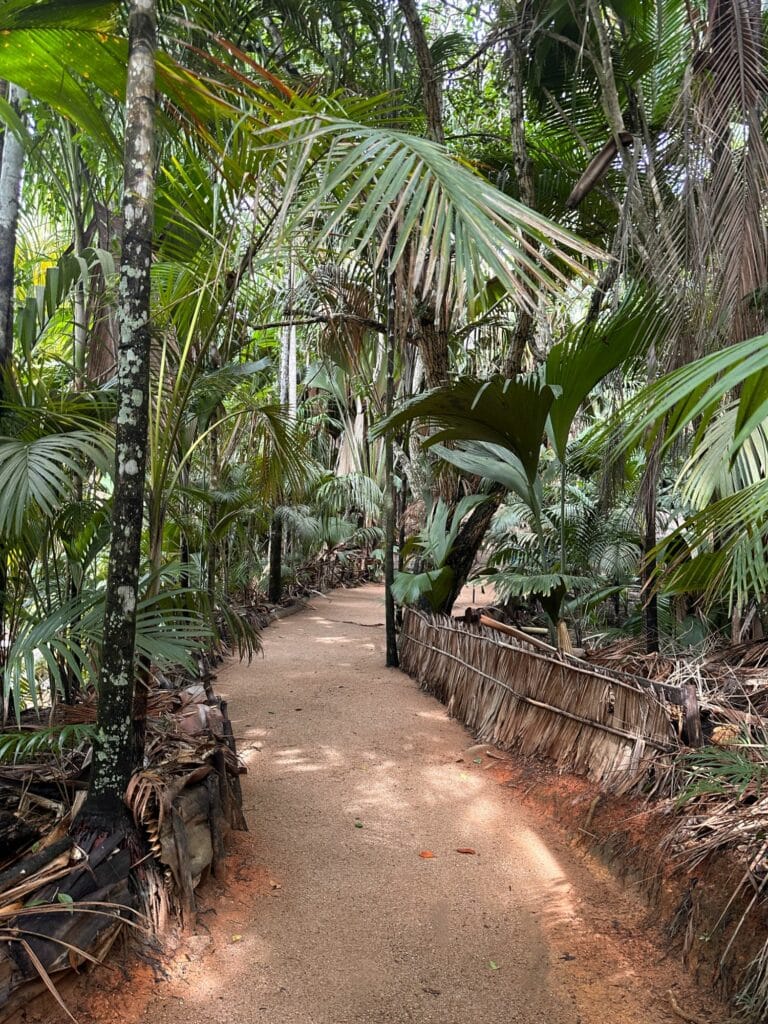 Vallée de Mai på Praslin