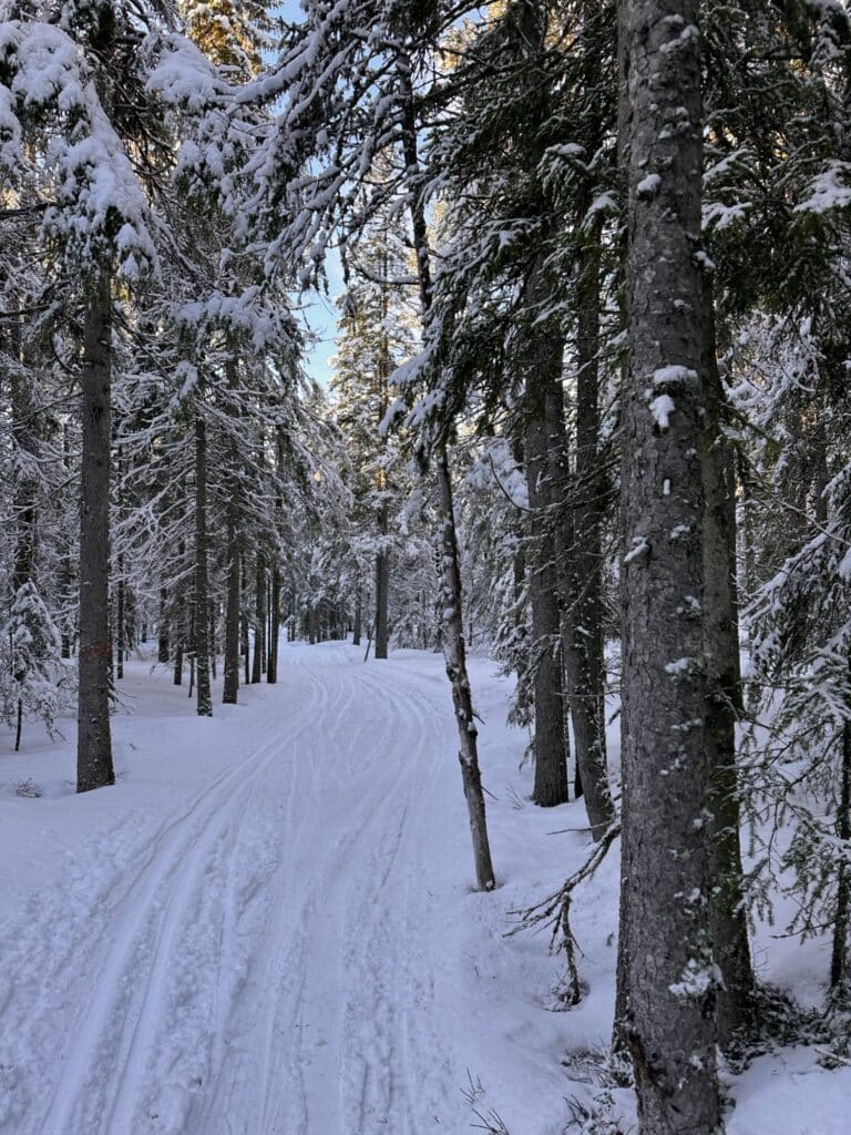 Längdåkning i Gyllbergen - nästan som i fjällen!