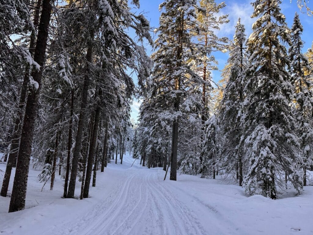 Längdåkning i Gyllbergen - nästan som i fjällen!