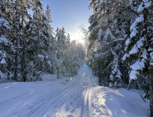 Längdåkning i Gyllbergen - nästan som i fjällen!