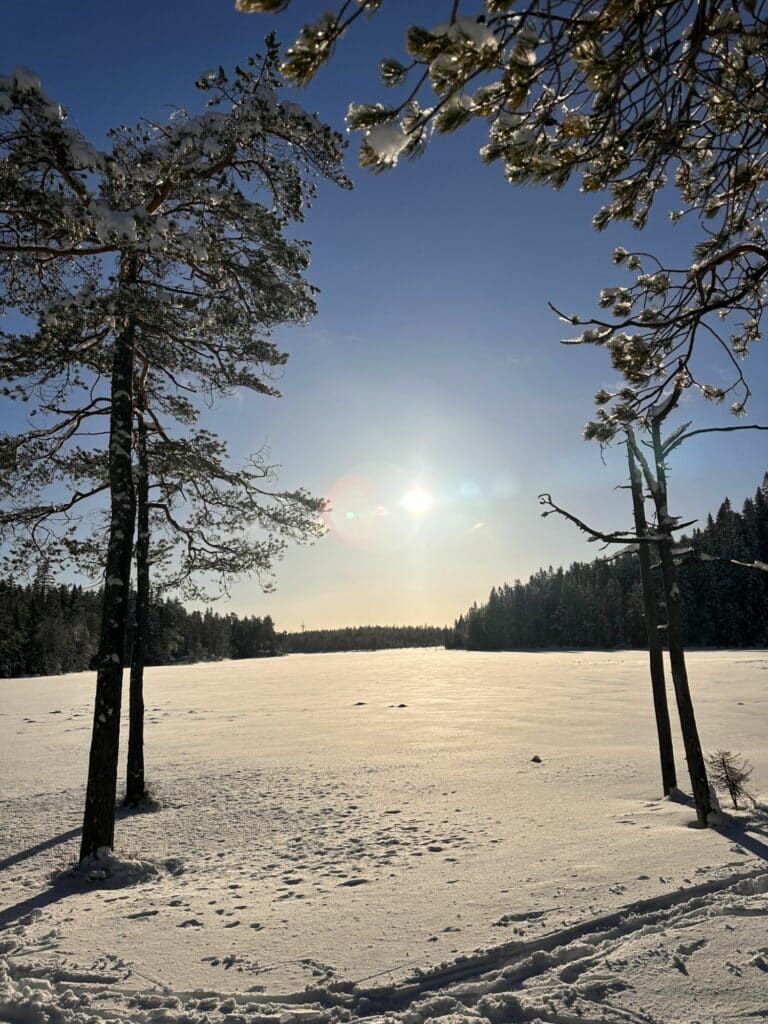 Träna inför Vasaloppet 45