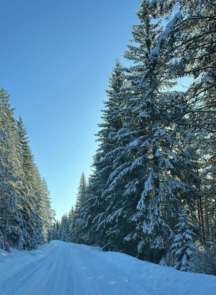 Längdåkning i Gyllbergen - nästan som i fjällen!