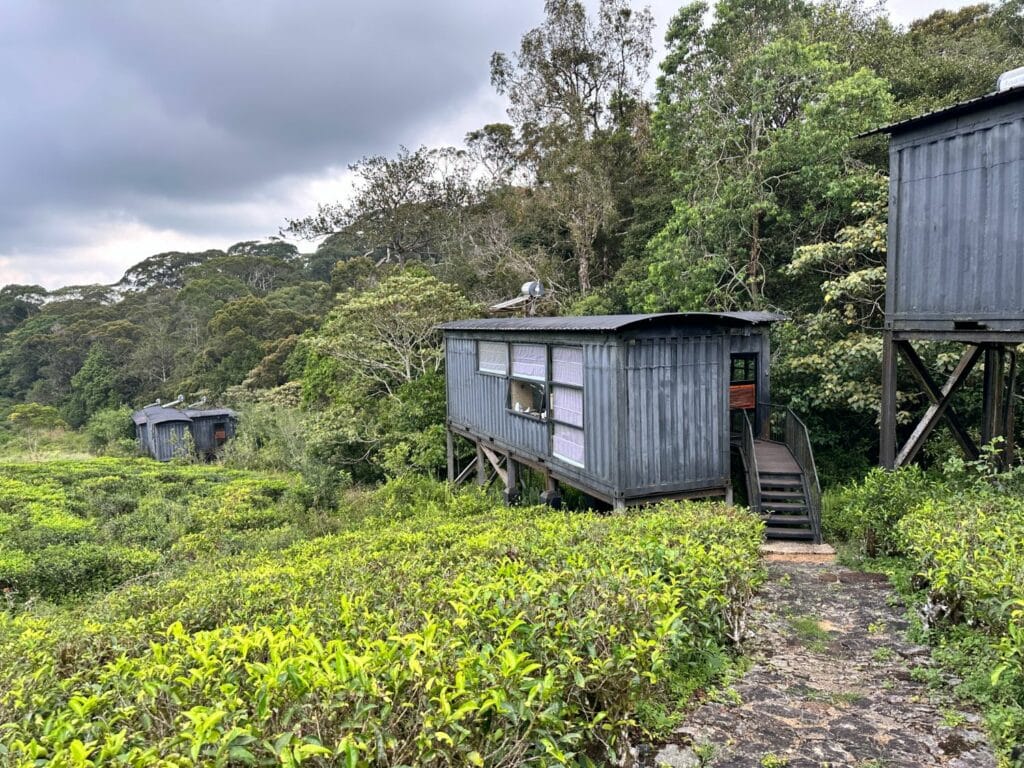 Rainforest Ecolodge i Sinharaja Forest Reserve 