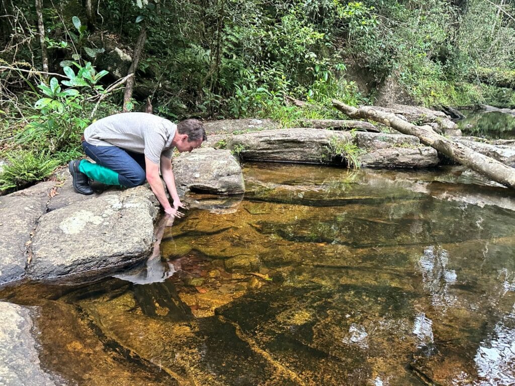 Sinharaja Forest Reserve - en fantastisk regnskog i Sri Lanka