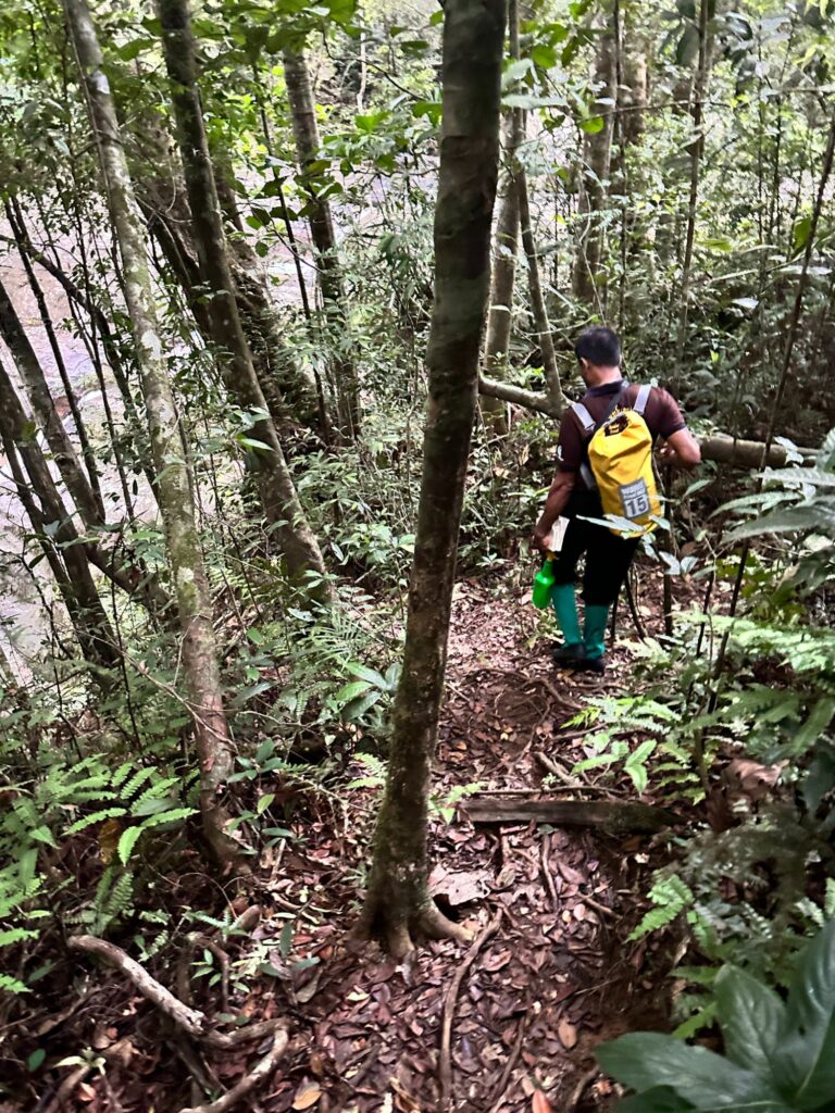 Sinharaja Forest Reserve - en fantastisk regnskog i Sri Lanka