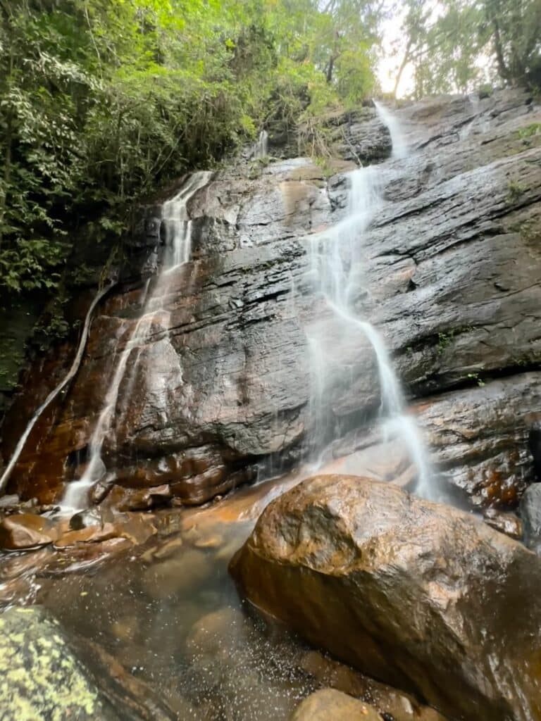 Sinharaja Forest Reserve - en fantastisk regnskog i Sri Lanka