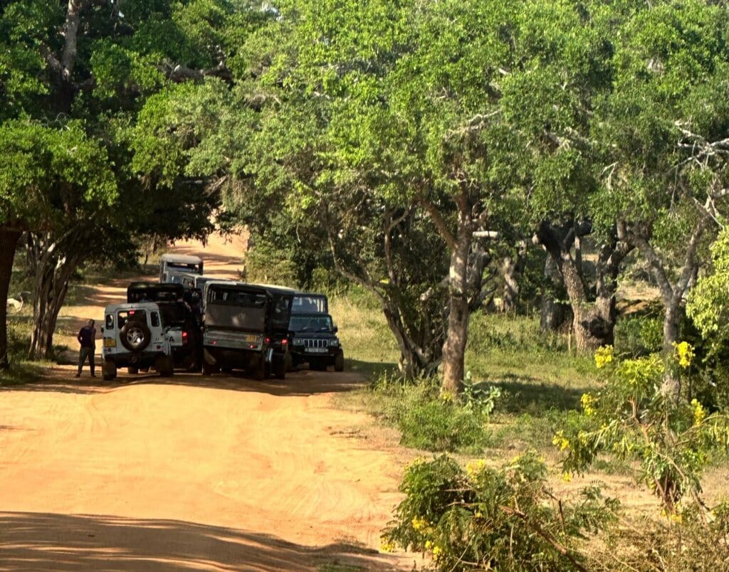 Yala National Park i Sri Lanka